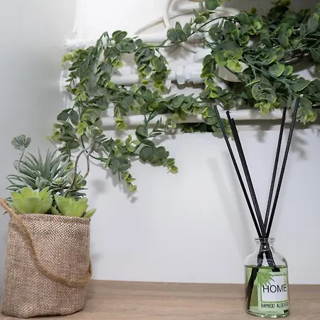 Apartment Avec Jardin *